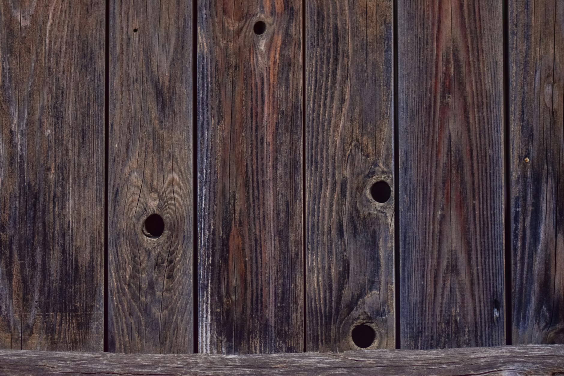 HOLES meaning the openings in the Whac-A-Mole board where the mole pops up