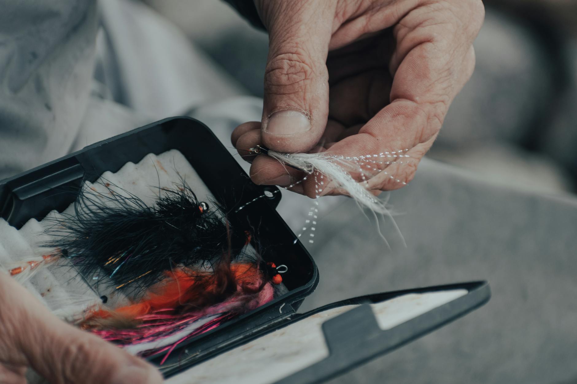 FLY shown as a small artificial lure used in fly fishing.