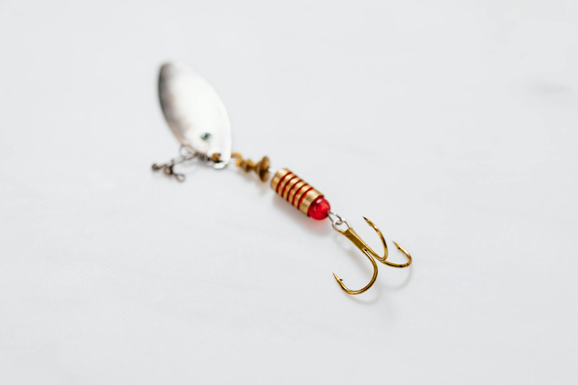 HOOK shown as the metal fishing hook that catches a fish.