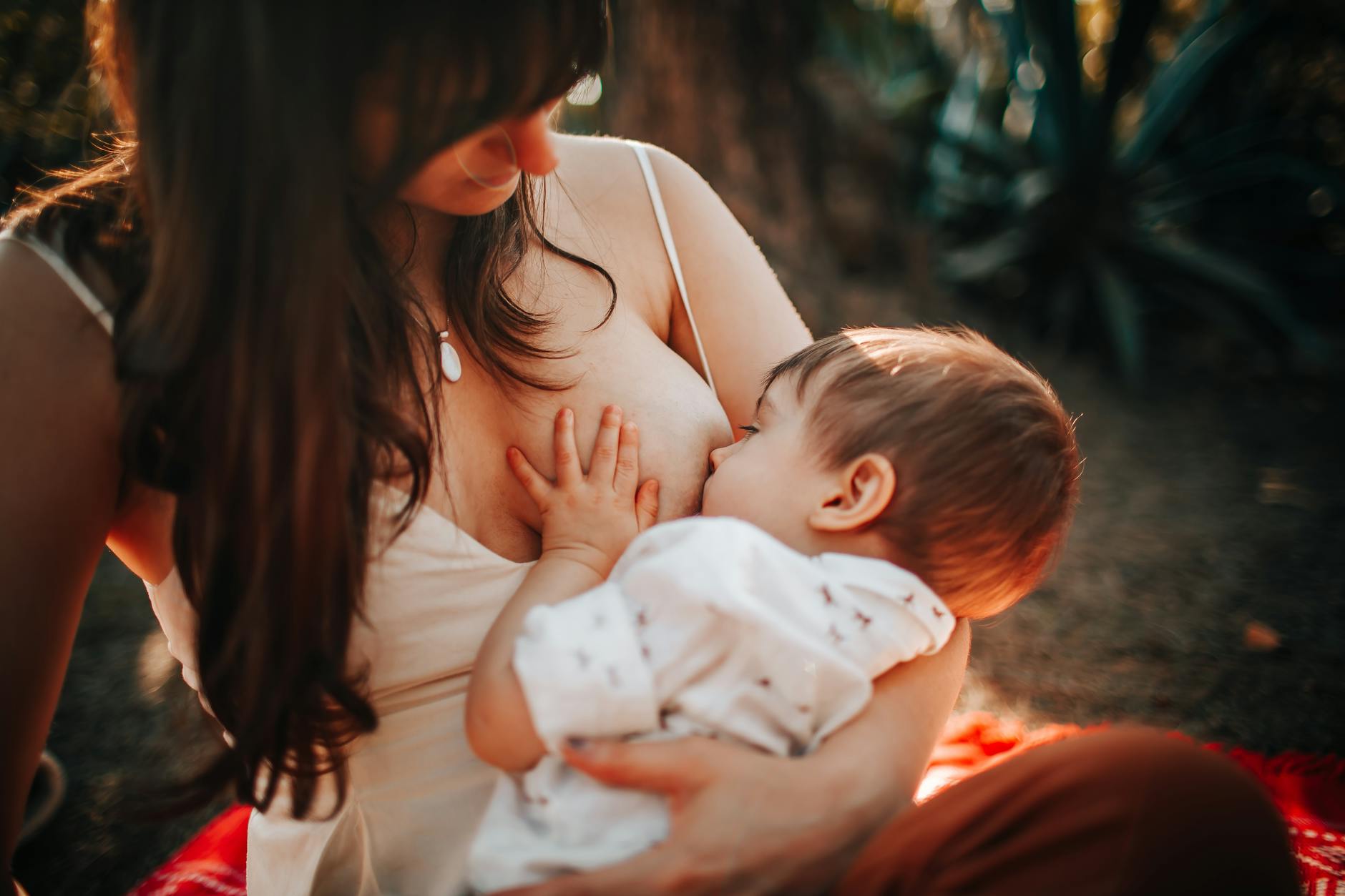 NURSE — a baby feeding at the breast
