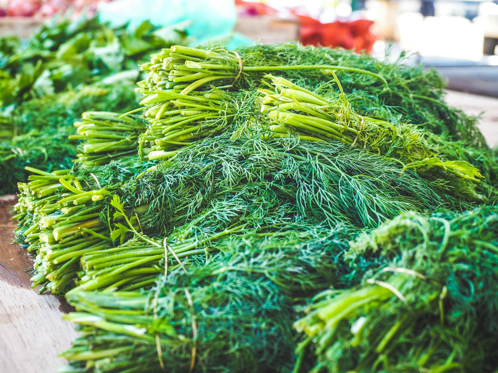 HERB — an herbaceous plant