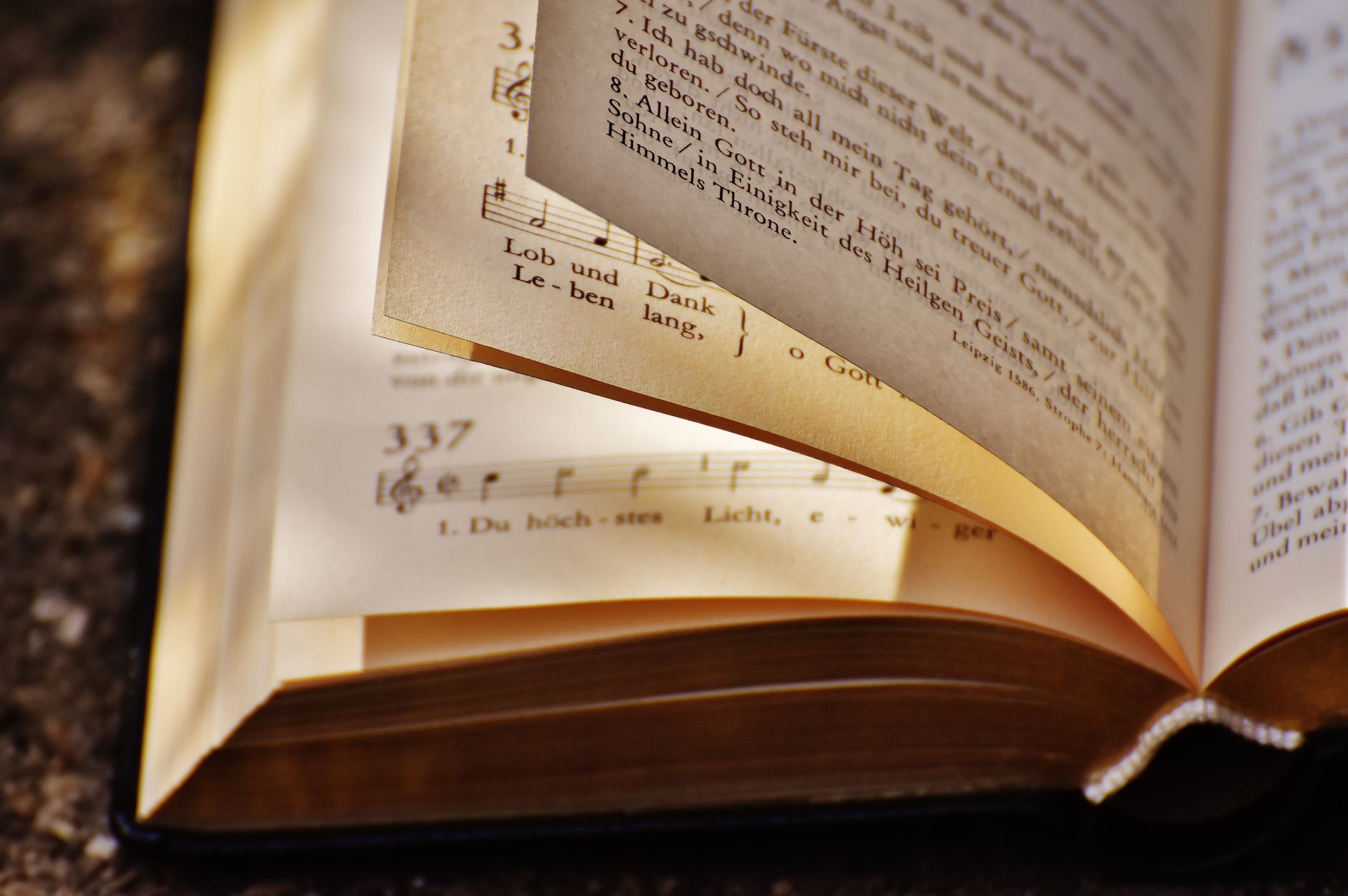 BOOK showing meaning: the script/story of the musical