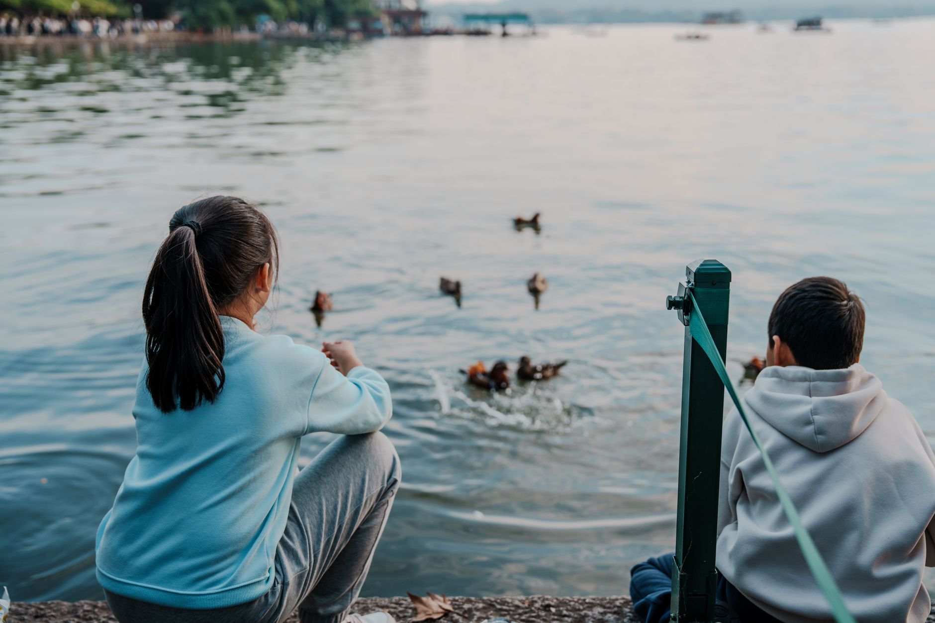 DUCK DUCK GOOSE — a tag game where a player taps someone as 'goose'
