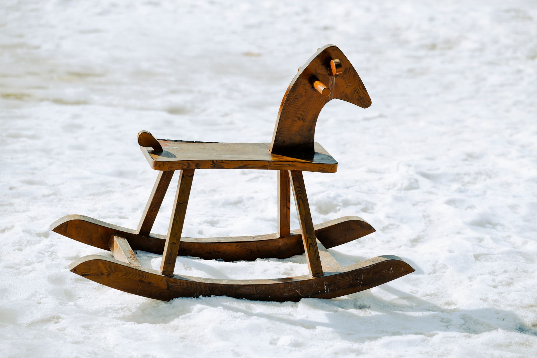 HOBBY HORSE — a toy horse you hold on a handle